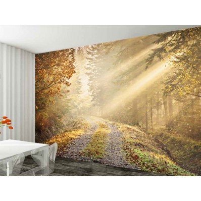 1Wall Golden Forest Wallpaper Mural