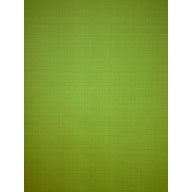 Caselio Plain Textured Lime Green Vinyl