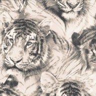 P+S International Tiger Head Wallpaper 45036-30