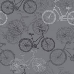Rasch Bikes in Grey 280821