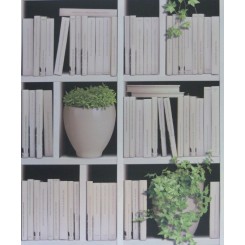Muriva Virtual Reality Book Shelf Wallpaper J40607