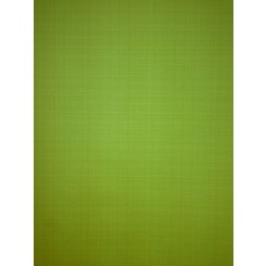 Caselio Plain Textured Lime Green Vinyl