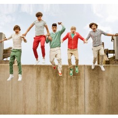 1Wall Official One Direction Jump Wallpaper Mural