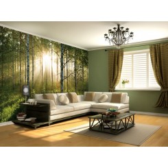 1Wall Forest Wall Mural