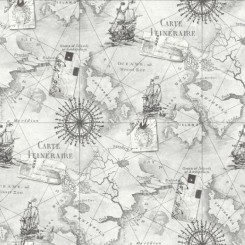 Arthouse VIP Navigator Silver Map Wallpaper 622004