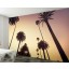 LIMITED EDITION CALIFORNIA WALL MURAL 3.60M x 2.53